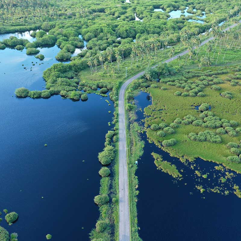 Drone Photography KC Media Ltd. Trinidad and Tobago kcmediatt Icacos Cedros Swamp